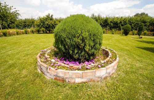 Cona Bed & Breakfast | I Due Orfici