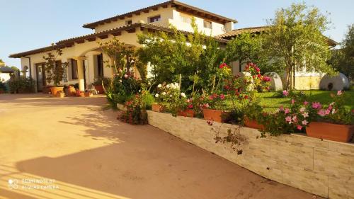 Riola Sardo Bed & Breakfast | I Giganti