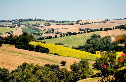 Ostra Vetere Villa | I Girasoli - Five Bedroom Villa, Sleeps 10