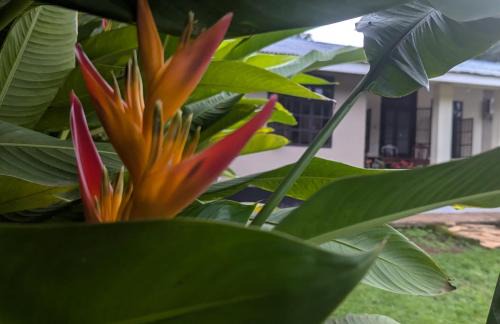 Moshi House | I LOVE AFRICA VILLAs