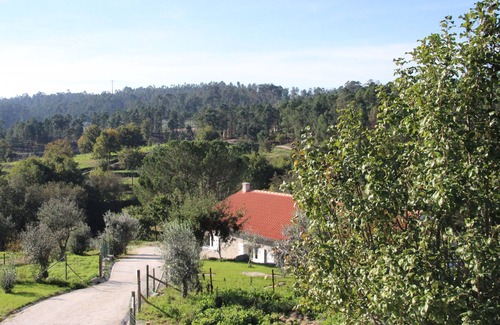 Carregal do Sal Ski Chalet | I Love Dão - Oliveira House
