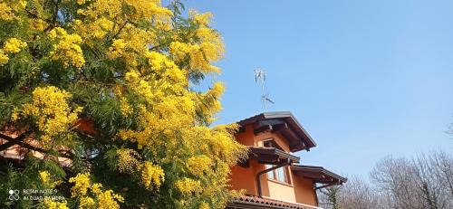 Candia Canavese Apartment | I salici