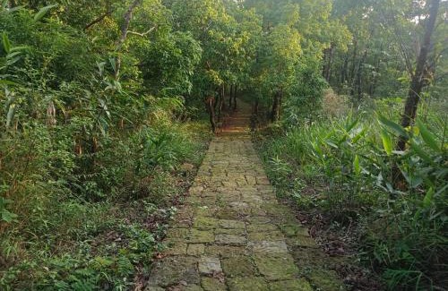 Sohra House | Ibankordor Jungle Resort
