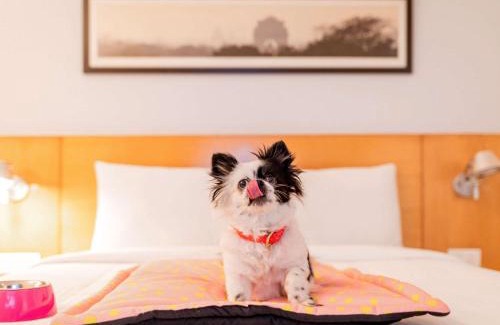 Thousand Lights Hotel | ibis Chennai City Centre - An Accor Brand