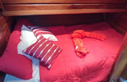 Mambucaba Boat Rental | Ibiza