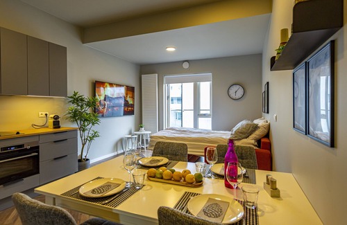 Hliðar Apartment | ICELAND SJF APARTMENTS -301 Free parking Downton Reykjavík
