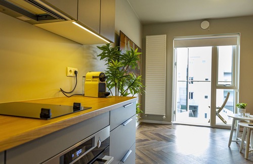Hliðar Apartment | ICELAND SJF APARTMENTS -201 Free parking Downton Reykjavík