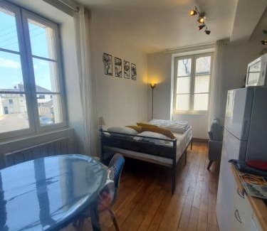 Bourgueil Apartment | Idéal pied à terre pour visite des châteaux et cnpe