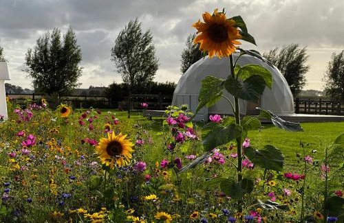 Mannekensvere Other | ID Glamping De Coude Scheure