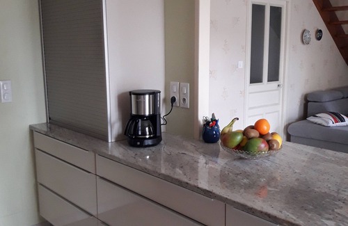 Saint-Hilaire-la-Palud Apartment | Ideal for visiting the marsh and relaxing with swimming pool, rowing boat, bicycles, park.