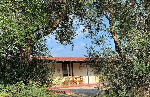 Medina-Sidonia House | Ideal house with pool, surrounded by nature and 20 minutes from the beach