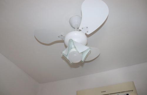 Nazare Other | Ideal para a COP