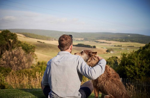 Johanna Cottage | Idealic coastal country cottage with unparalleled views. Pet- Friendly!