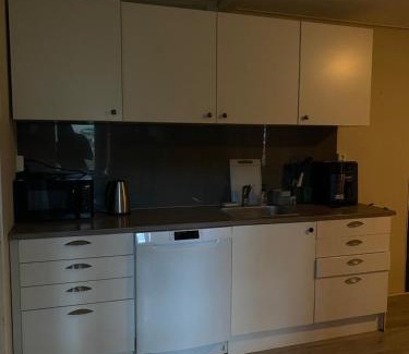 Fredrikstad Apartment | Ideelt og rens sted