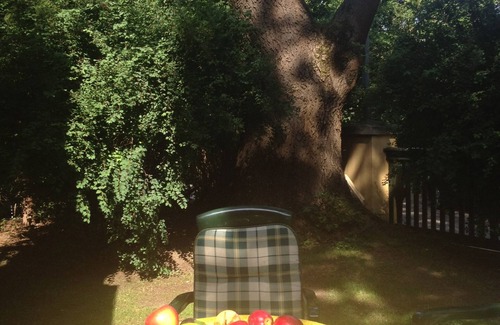 Grinzing Apartment | Idyllic garden apartment in a townhouse in the middle of the vineyards