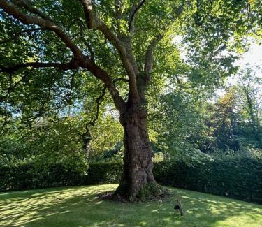 Plumpton Green Apartment | Idyllic rural retreat