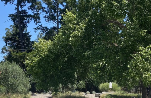 Vichy Springs House | Idyllic Silverado Family Retreat-Abundant Resort Amenities and Kids Camps