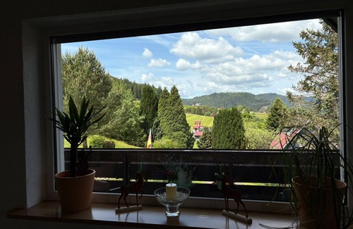 Baiersbronn Apartment | Idyllic vacation apartment on the edge of the national park, pet & family friendly