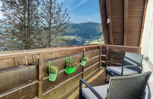Baiersbronn Apartment | Idyllic vacation apartment on the edge of the national park, pet & family friendly