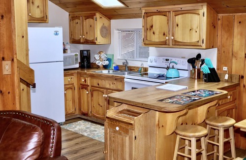 Idyllwild Cabin | Idyllwild Dairy Hen: Walk-to Town, Pet Friendly! Hot tub