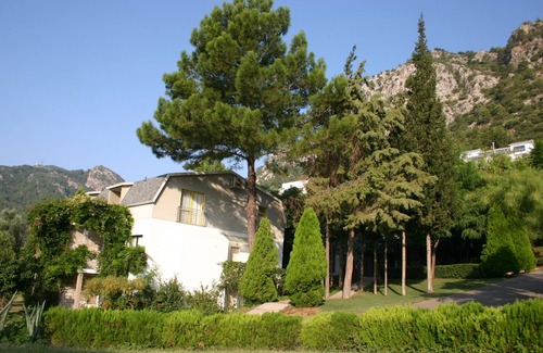 Turunc Apartment | If you can imagine relaxing under the olive trees sipping a Gin & Tonic!
