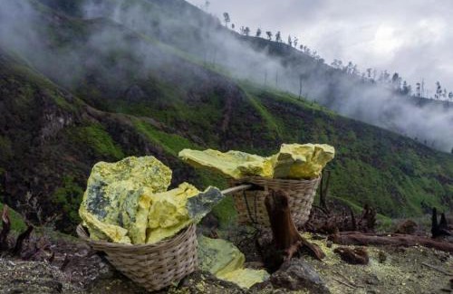 Kalipuro House | Ijen Basecamp & Homestay