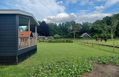 Dennenoord Bed & Breakfast | IJsvogel
