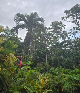 La Fortuna House | Iki Room with Jacuzzy