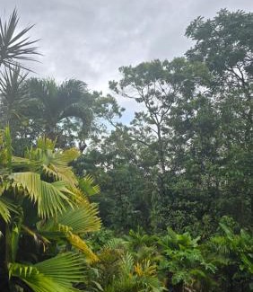 La Fortuna House | Iki Room with Jacuzzy