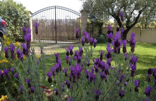 Tollo Villa | Il casale tra le vigne e il mare