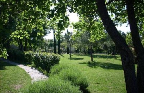 Montegabbione House | IL CASALETTO (RELAX,ART,BEAUTY ON UMBRIAN HILLS) Cosy & elegant stone villa nearby "La Scarzuola" park, swimming pool, oasis of peace & tranquillity-Weeks rents all year