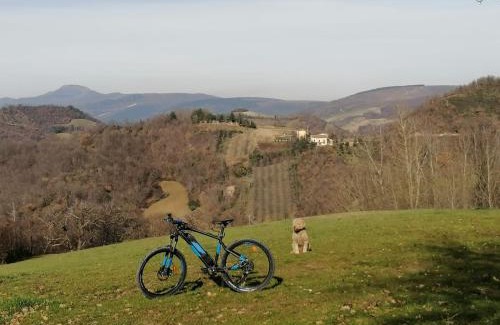 Camerino Bed & Breakfast | Il Castagneto