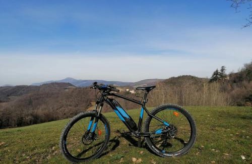 Camerino Bed & Breakfast | Il Castagneto