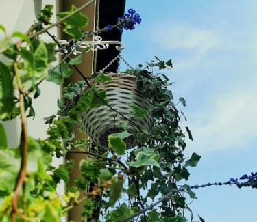 Clusane Apartment | Il Cortile