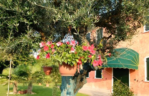 Giarre Bed & Breakfast | Il Farfasole