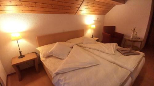 Steinach Hotel | il fiore Hotel Steinach SG