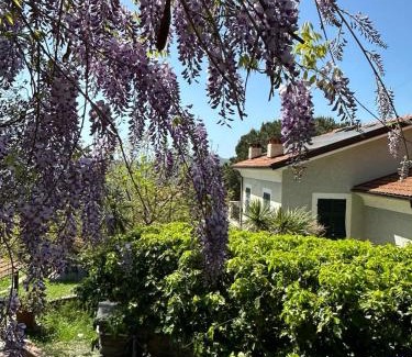 Leivi Bed & Breakfast | Il Gelso