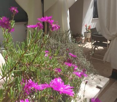 Monterosi House | IL GIARDINETTO di Dilyana