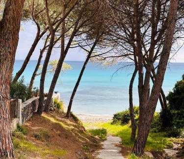 Sas Linnas Siccas House | Il Giardino davanti al Mare