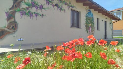 Piozzo Bed & Breakfast | Il Giardino di Sofia B&B
