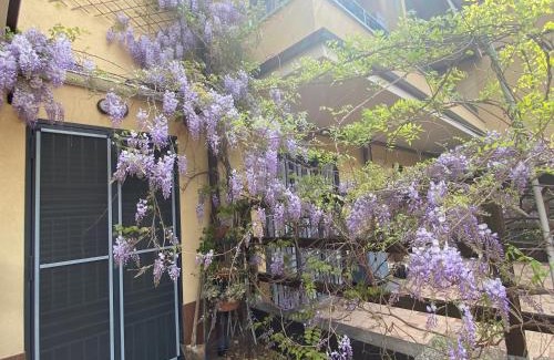 Cologno Monzese House | IL GIARDINO DI ZEUS