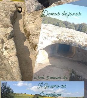 Nuraminis Bed & Breakfast | Il Ginepro del Campidano