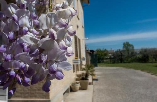Falerone Bed & Breakfast | Il Glicine