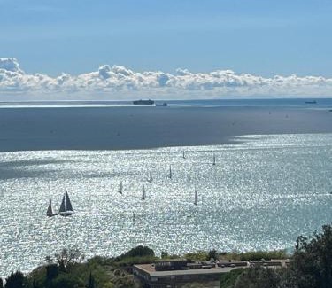 San Terenzo Apartment | IL MARE BLU