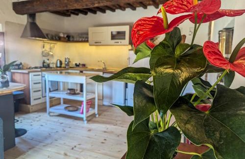 Fornaci House | Il Palazzo, Le Fornaci
