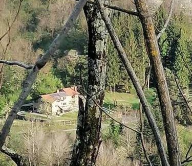 San Marcello Piteglio Bed & Breakfast | Il paradiso delle beccacce