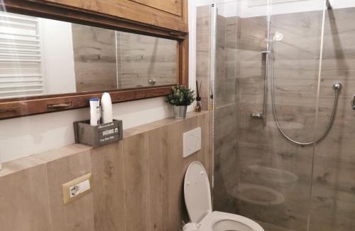 Collesalvetti Apartment | Il Podere di Remo
