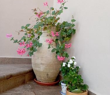 Castel Morrone Bed & Breakfast | Il Ponticello