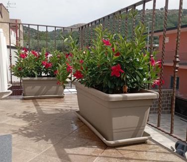 Castel Morrone Bed & Breakfast | Il Ponticello