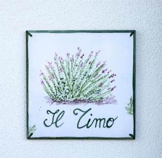 Patresi House | Il Timo